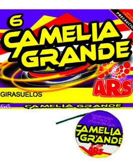 Camelia Grande